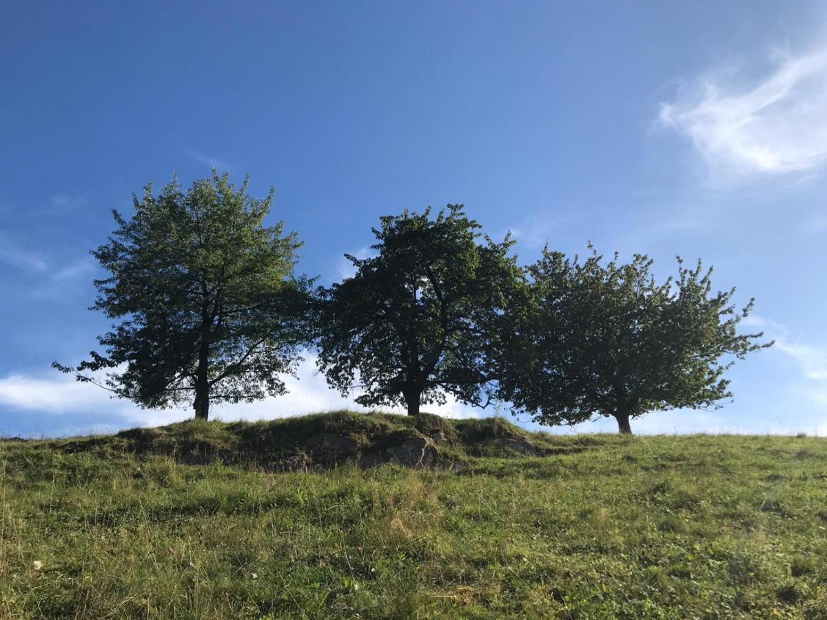 Hirtenrasen 52a * Lindewerra